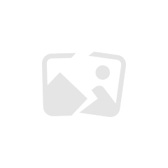 白起的最后守护：风永远陪在你身边