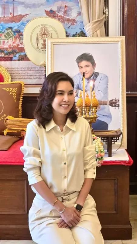 波洛伊拉奇女士诉讼理由相关图片