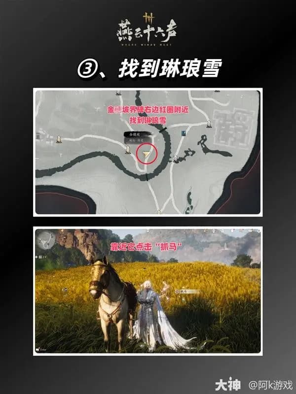 成功驯服琳琅雪后显示的获取提示与马匹外观