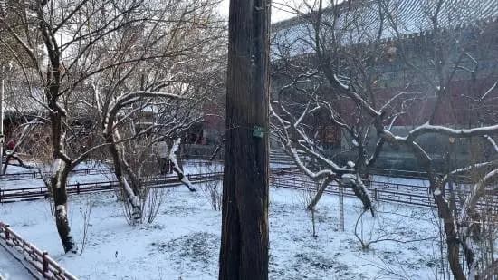 杨奇原创打油诗《匆匆一别今年怕是再也见不到雪了》的手写展示图